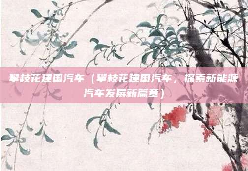 攀枝花建国汽车(攀枝花建国汽车,探索新能源汽车发展新篇章)