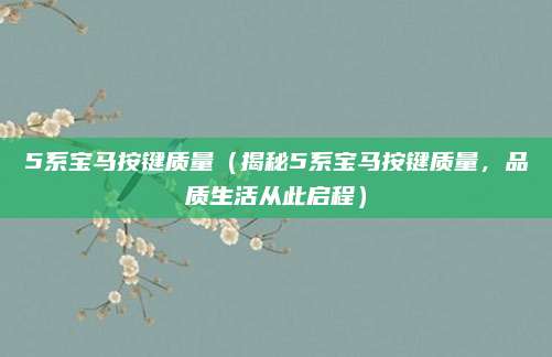 5系宝马按键质量(揭秘5系宝马按键质量,品质生活从此启程)