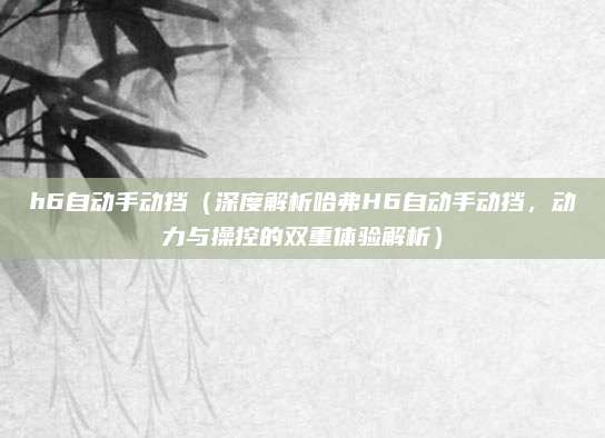 h6自动手动挡(深度解析哈弗H6自动手动挡,动力与操控的双重体验解析)