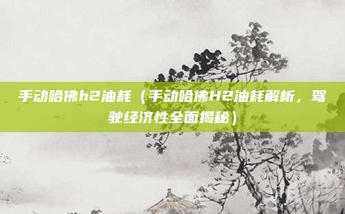 手动哈佛h2油耗(手动哈佛H2油耗解析,驾驶经济性全面揭秘)