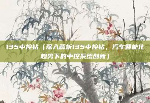 135中控钻(深入解析135中控钻,汽车智能化趋势下的中控系统创新)