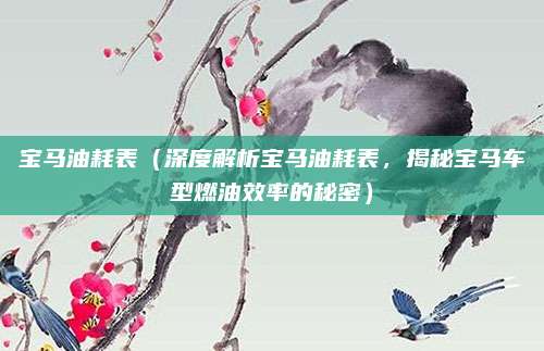 宝马油耗表(深度解析宝马油耗表,揭秘宝马车型燃油效率的秘密)