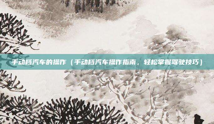 手动档汽车的操作(手动档汽车操作指南,轻松掌握驾驶技巧)