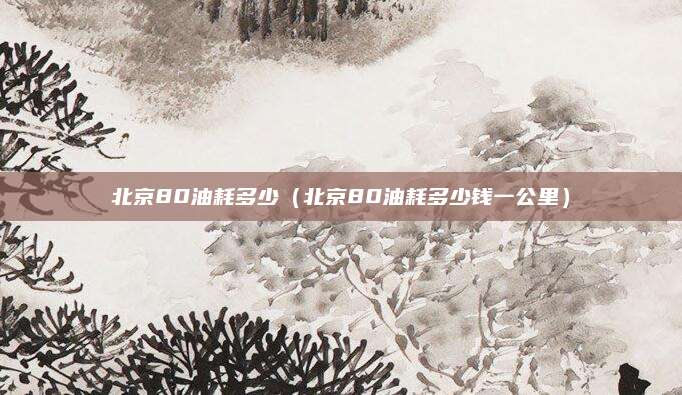 北京80油耗多少(北京80油耗多少钱一公里)