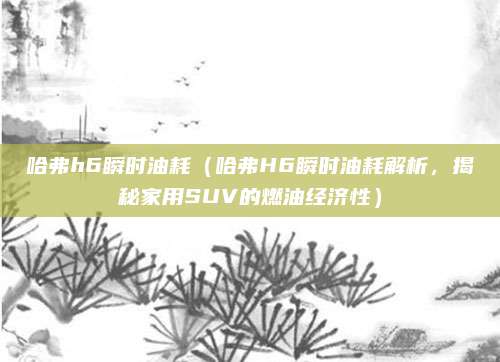 哈弗h6瞬时油耗(哈弗H6瞬时油耗解析,揭秘家用SUV的燃油经济性)