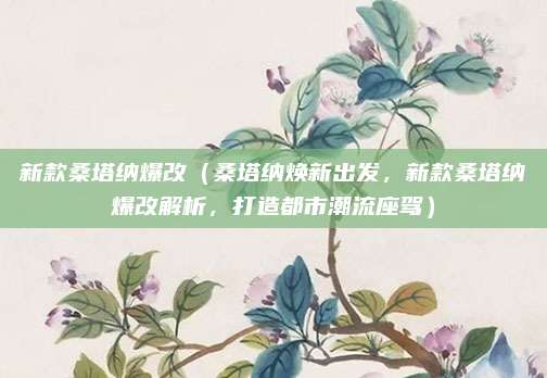 新款桑塔纳爆改(桑塔纳焕新出发,新款桑塔纳爆改解析,打造都市潮流座驾)