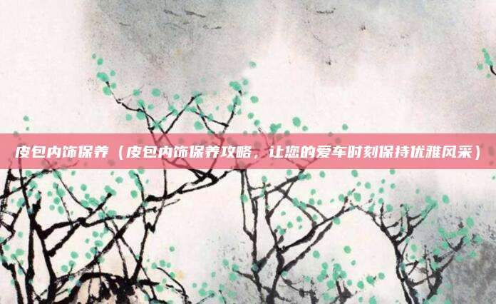 皮包内饰保养(皮包内饰保养攻略,让您的爱车时刻保持优雅风采)