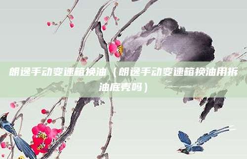朗逸手动变速箱换油(朗逸手动变速箱换油用拆油底壳吗)