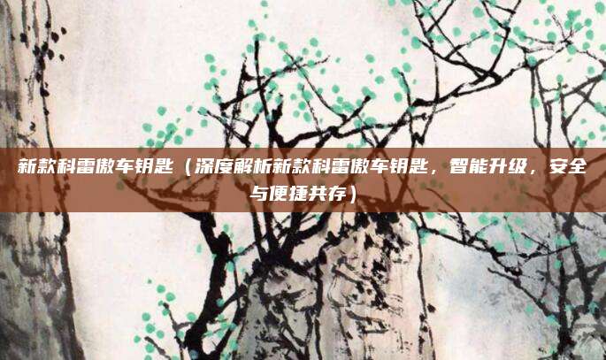 新款科雷傲车钥匙(深度解析新款科雷傲车钥匙,智能升级,安全与便捷共存)
