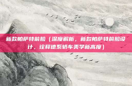 新款帕萨特前脸（深度解析，新款帕萨特前脸设计，诠释德系轿车美学新高度）