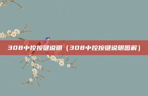 308中控按键说明(308中控按键说明图解)