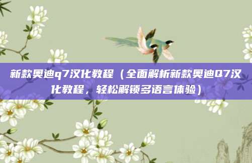 新款奥迪q7汉化教程（全面解析新款奥迪Q7汉化教程，轻松解锁多语言体验）