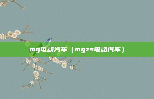 mg电动汽车(mgzs电动汽车)