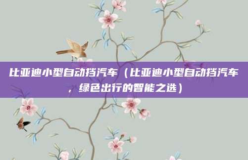 比亚迪小型自动挡汽车（比亚迪小型自动挡汽车，绿色出行的智能之选）