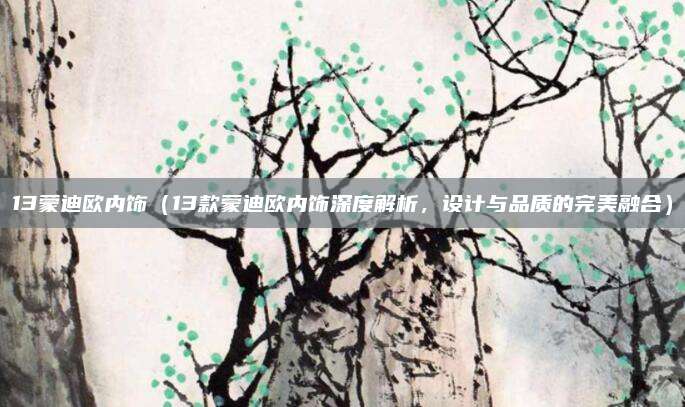 13蒙迪欧内饰(13款蒙迪欧内饰深度解析,设计与品质的完美融合)