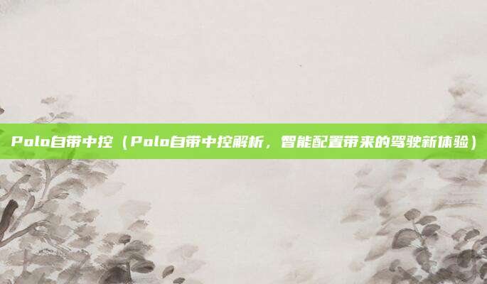 Polo自带中控（Polo自带中控解析，智能配置带来的驾驶新体验）