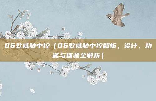 06款威驰中控(06款威驰中控解析,设计、功能与体验全解析)