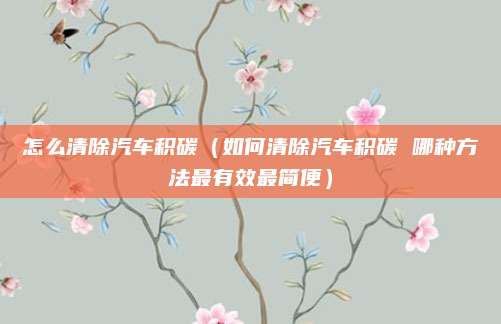 怎么清除汽车积碳(如何清除汽车积碳 哪种方法最有效最简便)