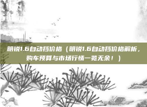 明锐1.6自动挡价格(明锐1.6自动挡价格解析,购车预算与市场行情一览无余!)