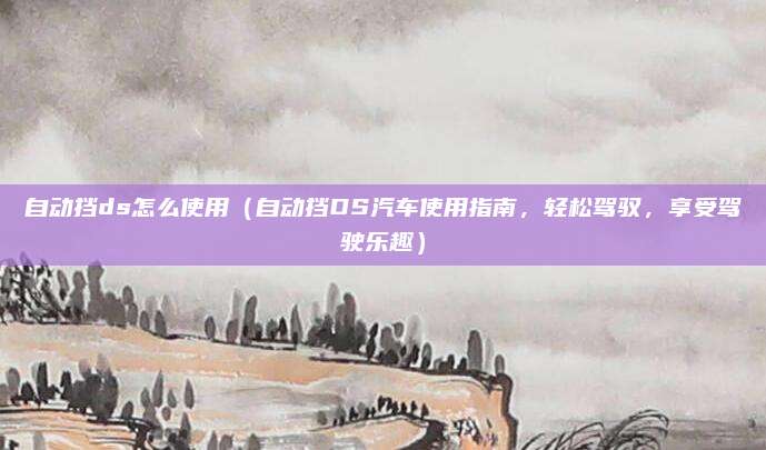 自动挡ds怎么使用（自动挡DS汽车使用指南，轻松驾驭，享受驾驶乐趣）