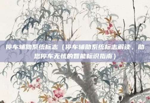 停车辅助系统标志（停车辅助系统标志解读，助您停车无忧的智能标识指南）