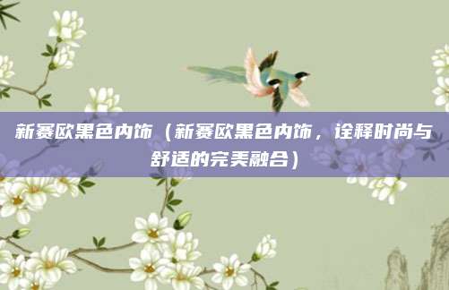 新赛欧黑色内饰（新赛欧黑色内饰，诠释时尚与舒适的完美融合）