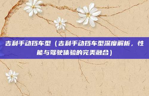 吉利手动挡车型(吉利手动挡车型深度解析,性能与驾驶体验的完美融合)