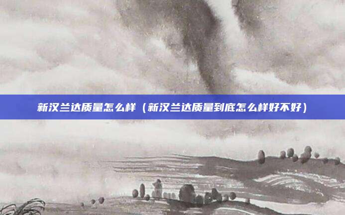 新汉兰达质量怎么样(新汉兰达质量到底怎么样好不好)