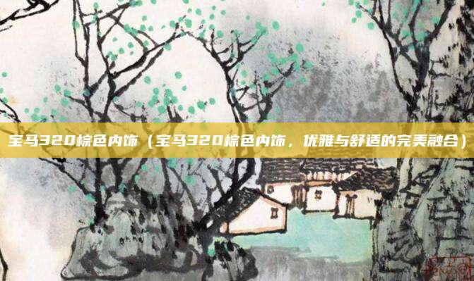 宝马320棕色内饰（宝马320棕色内饰，优雅与舒适的完美融合）