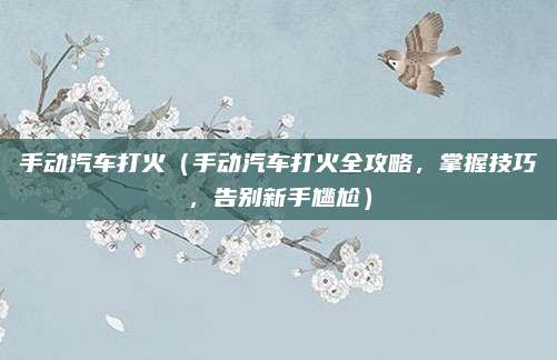 手动汽车打火(手动汽车打火全攻略,掌握技巧,告别新手尴尬)
