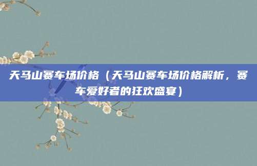 天马山赛车场价格（天马山赛车场价格解析，赛车爱好者的狂欢盛宴）