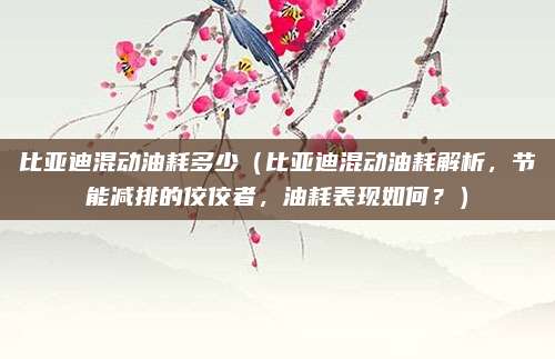 比亚迪混动油耗多少（比亚迪混动油耗解析，节能减排的佼佼者，油耗表现如何？）