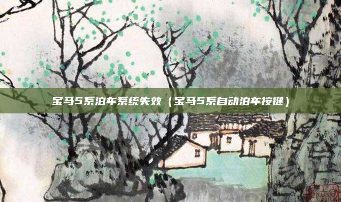 宝马5系泊车系统失效(宝马5系自动泊车按键)