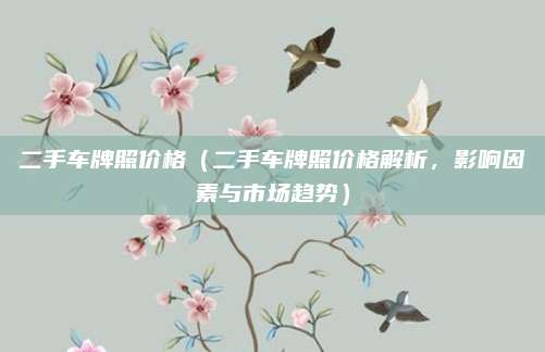 二手车牌照价格(二手车牌照价格解析,影响因素与市场趋势)