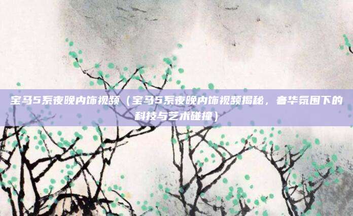 宝马5系夜晚内饰视频(宝马5系夜晚内饰视频揭秘,奢华氛围下的科技与艺术碰撞)