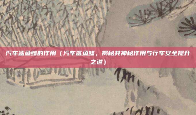 汽车鲨鱼鳍的作用(汽车鲨鱼鳍,揭秘其神秘作用与行车安全提升之道)