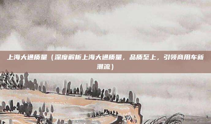 上海大通质量(深度解析上海大通质量,品质至上,引领商用车新潮流)