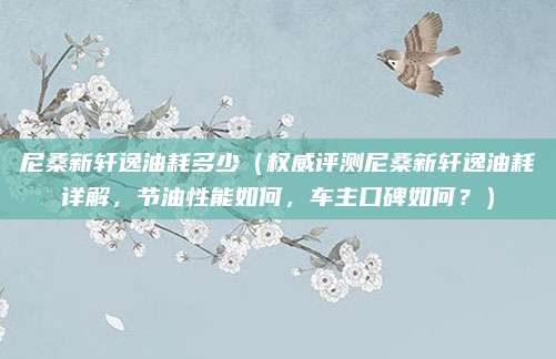 尼桑新轩逸油耗多少(权威评测尼桑新轩逸油耗详解,节油性能如何,车主口碑如何?)
