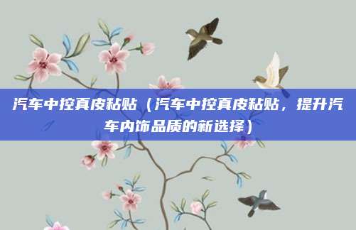 汽车中控真皮粘贴（汽车中控真皮粘贴，提升汽车内饰品质的新选择）