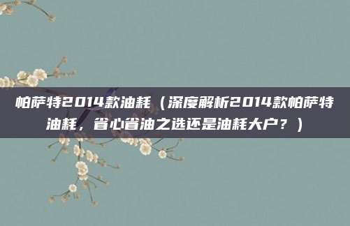 帕萨特2014款油耗(深度解析2014款帕萨特油耗,省心省油之选还是油耗大户?)