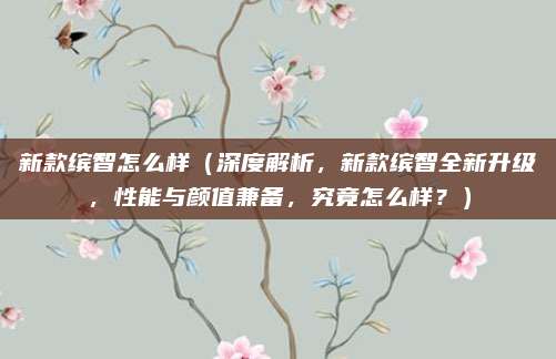 新款缤智怎么样(深度解析,新款缤智全新升级,性能与颜值兼备,究竟怎么样?)