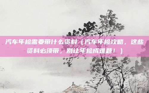 汽车年检需要带什么资料(汽车年检攻略,这些资料必须带,别让年检成难题!)