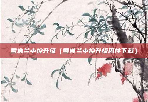 雪佛兰中控升级(雪佛兰中控升级固件下载)