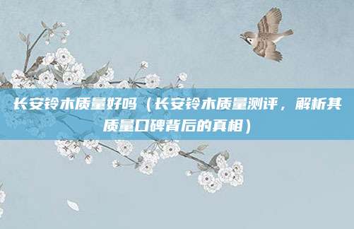 长安铃木质量好吗(长安铃木质量测评,解析其质量口碑背后的真相)