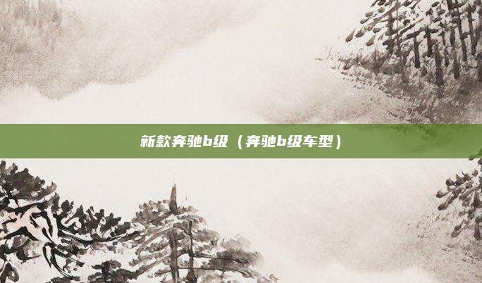 新款奔驰b级(奔驰b级车型)