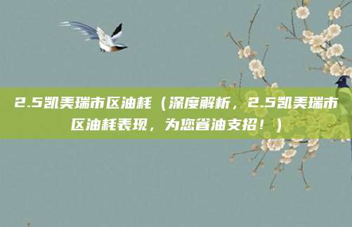 2.5凯美瑞市区油耗(深度解析,2.5凯美瑞市区油耗表现,为您省油支招!)