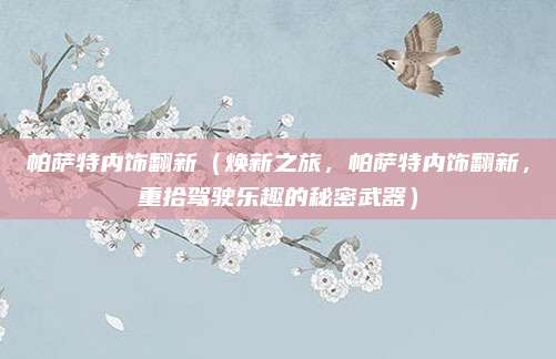 帕萨特内饰翻新(焕新之旅,帕萨特内饰翻新,重拾驾驶乐趣的秘密武器)