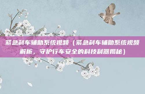 紧急刹车辅助系统视频(紧急刹车辅助系统视频解析,守护行车安全的科技利器揭秘)