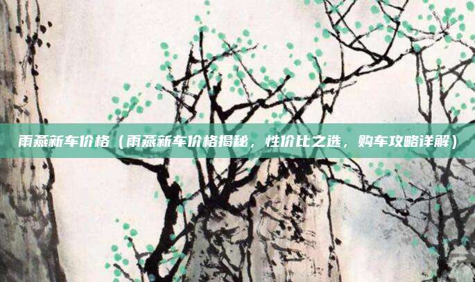 雨燕新车价格(雨燕新车价格揭秘,性价比之选,购车攻略详解)
