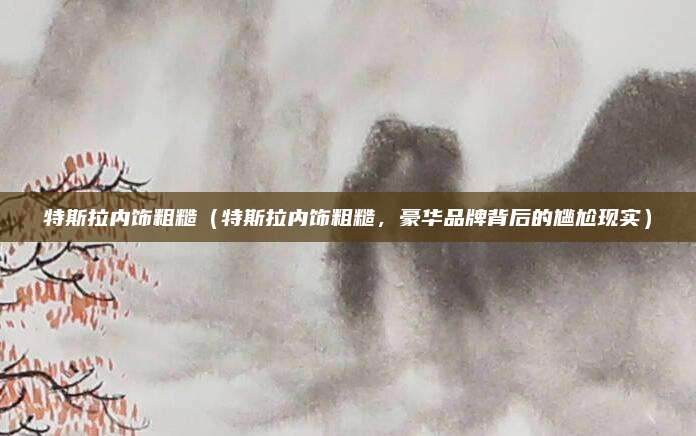 特斯拉内饰粗糙(特斯拉内饰粗糙,豪华品牌背后的尴尬现实)